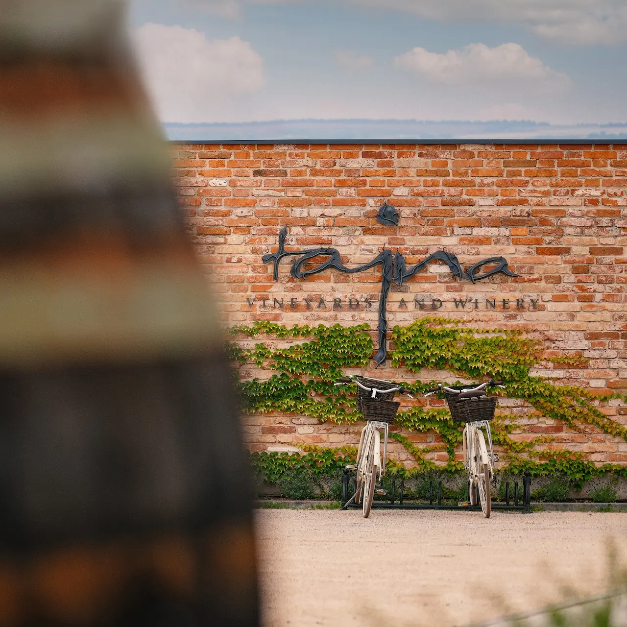 Tajna winery place