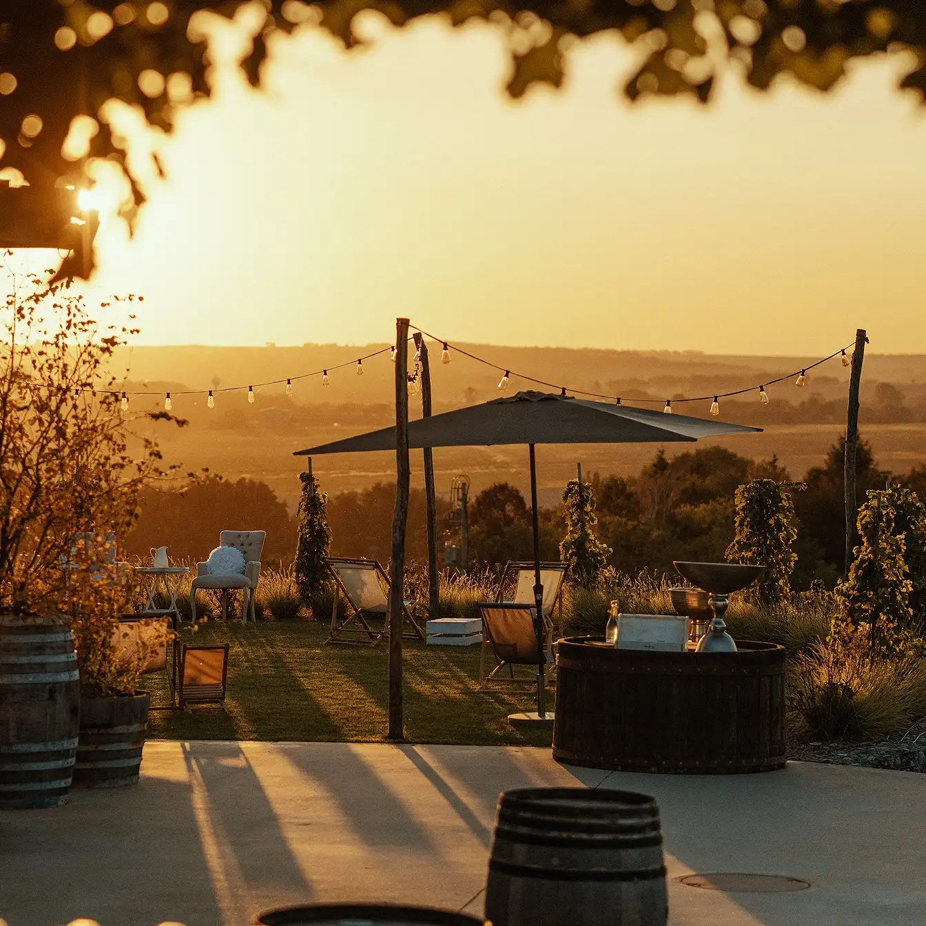 Wine events in TAJNA
